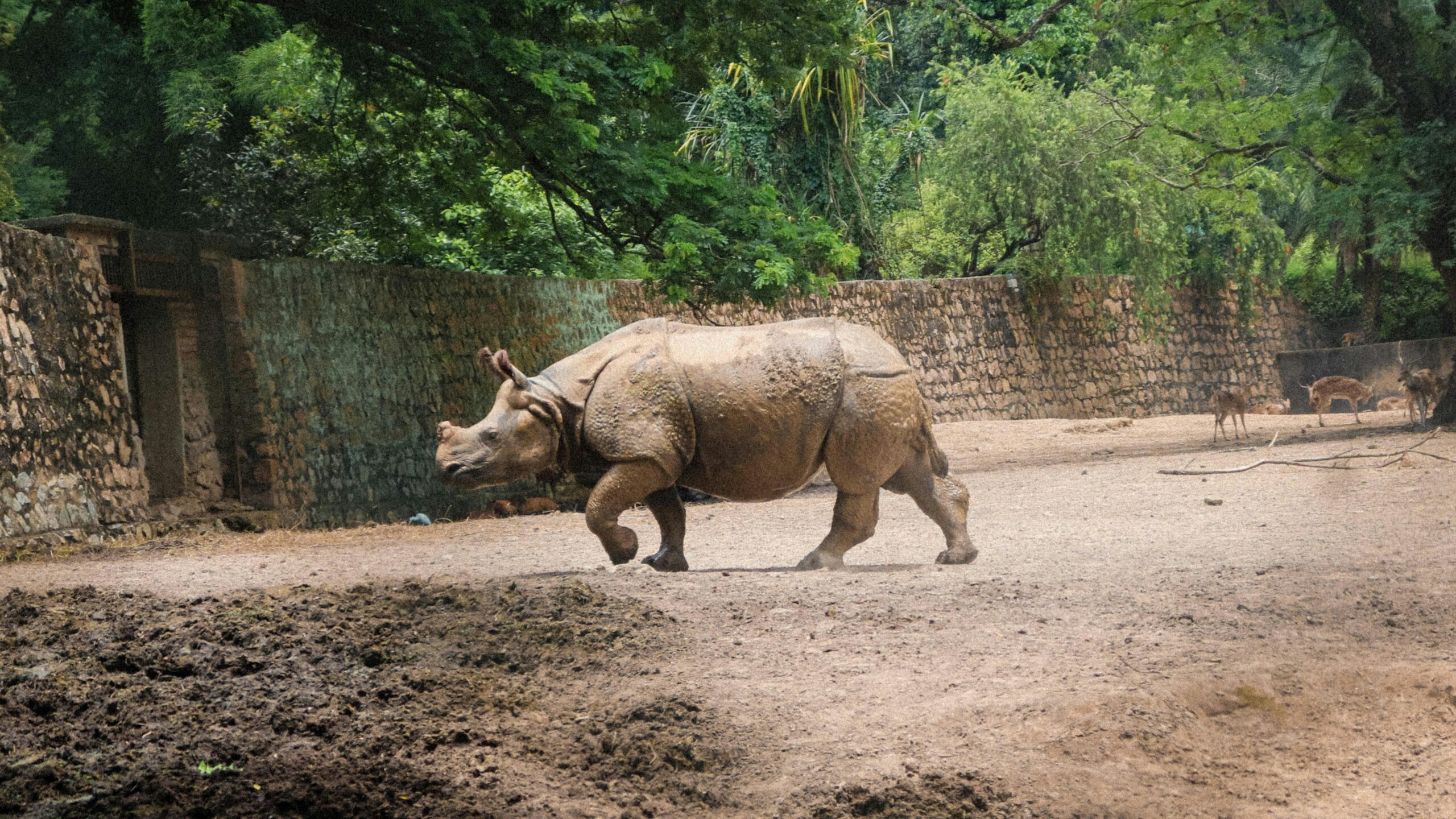 Assam