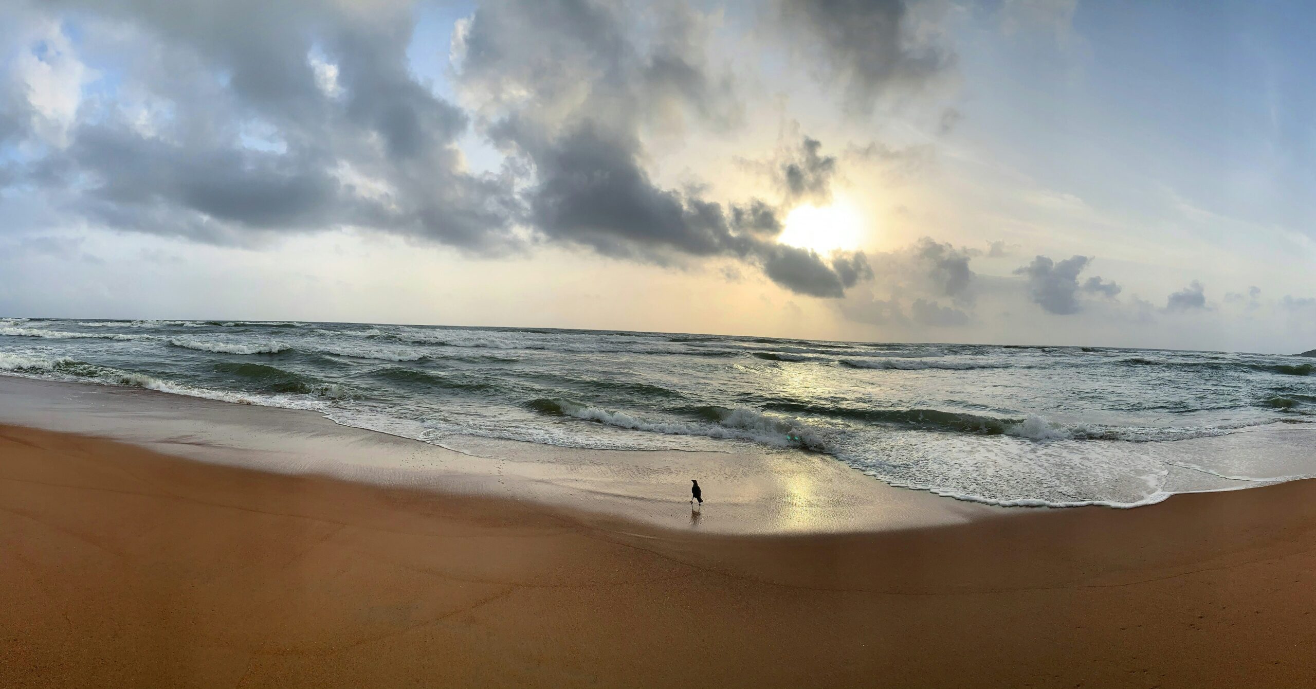 Goa